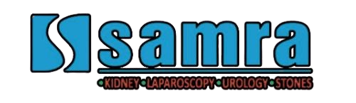 leparoscopicsurgeondelhi.com